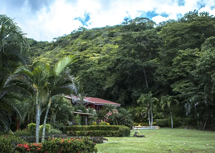 Bahia Pez Vela *